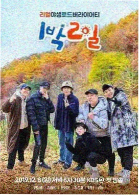 史泰龙电影大全 影评 洛奇