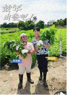 史泰龙电影大全 影评 敢死队